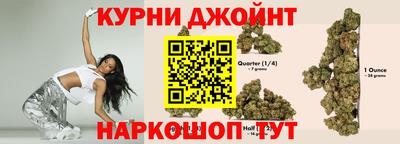 трава Кингисепп