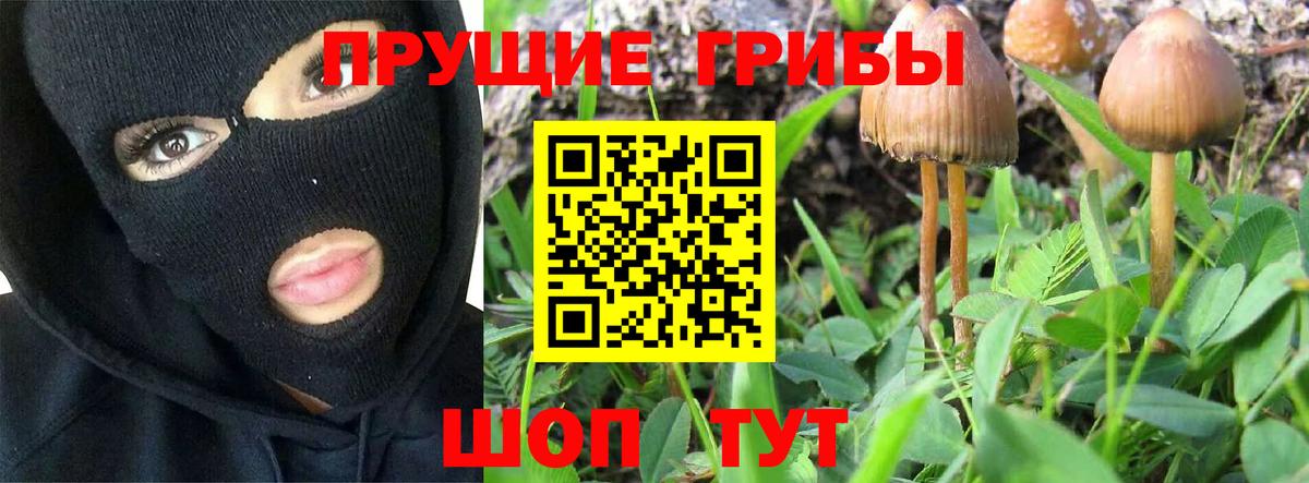 закладка  Псилоцибиновые грибы ЛСД  Вход с VPN  Ковров 
